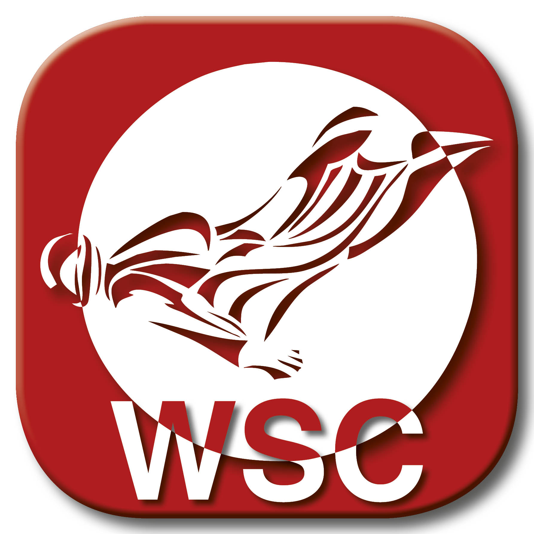 WSC Wing Suit CYPRES Logo CYPRES WSC Wing Suit CYPRES Logo CYPRES