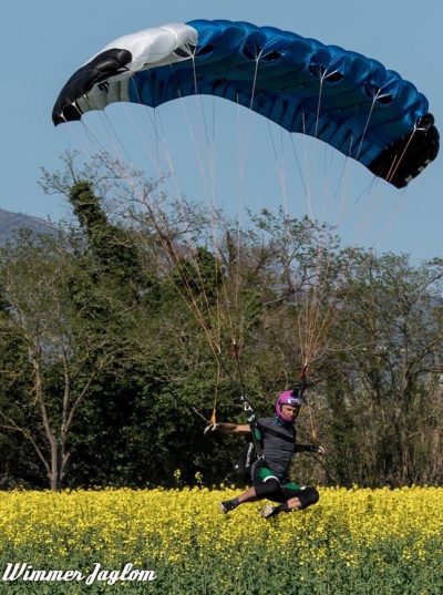 Pete Swooping across a field with yellow flowers