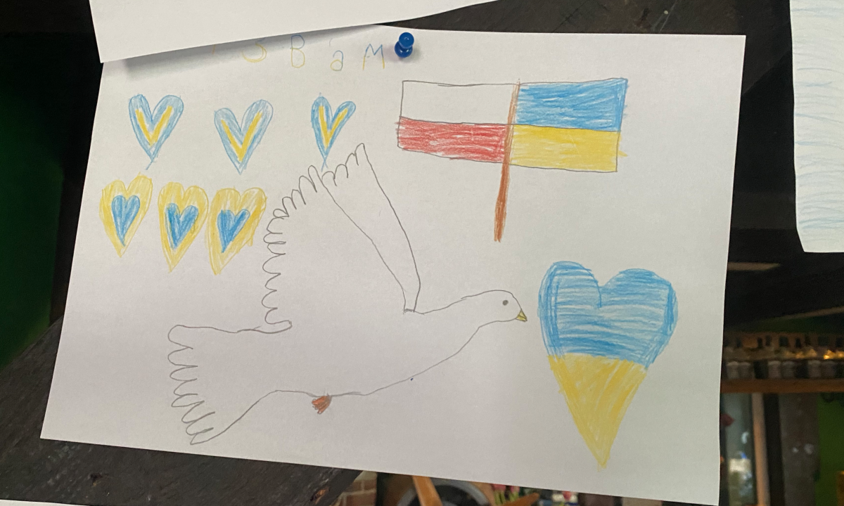 Cypres Aad Automatic Activation Device For Skydiving